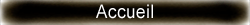 bouton_index.png