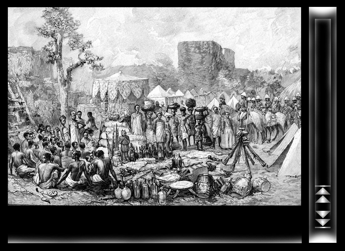 amaz_dahomey_10.jpg