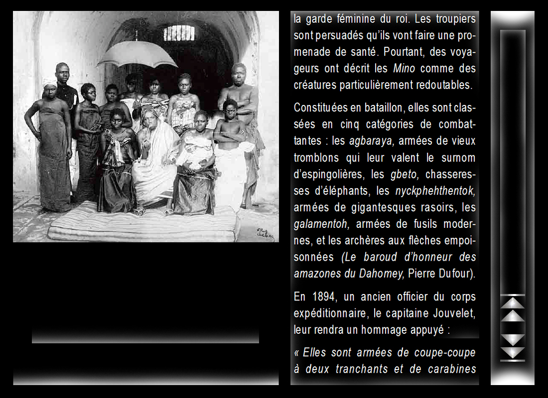 amaz_dahomey_8.jpg