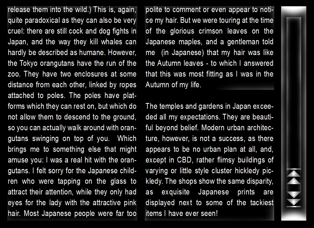 japon_10_english.jpg