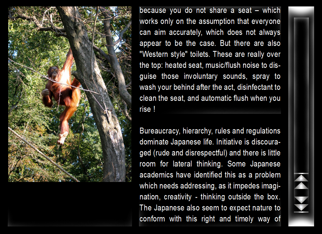 japon_15_english.jpg