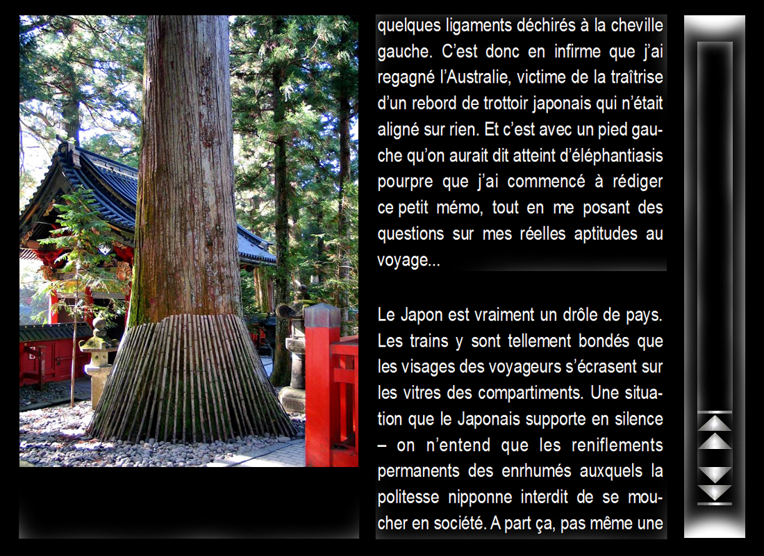 japon_2.jpg