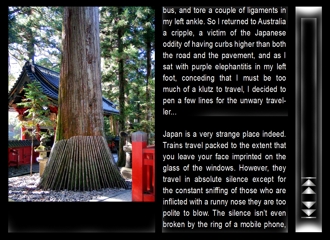 japon_2_english.jpg