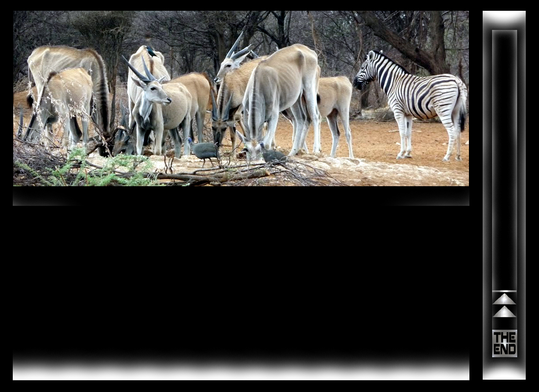 namibia_11.jpg