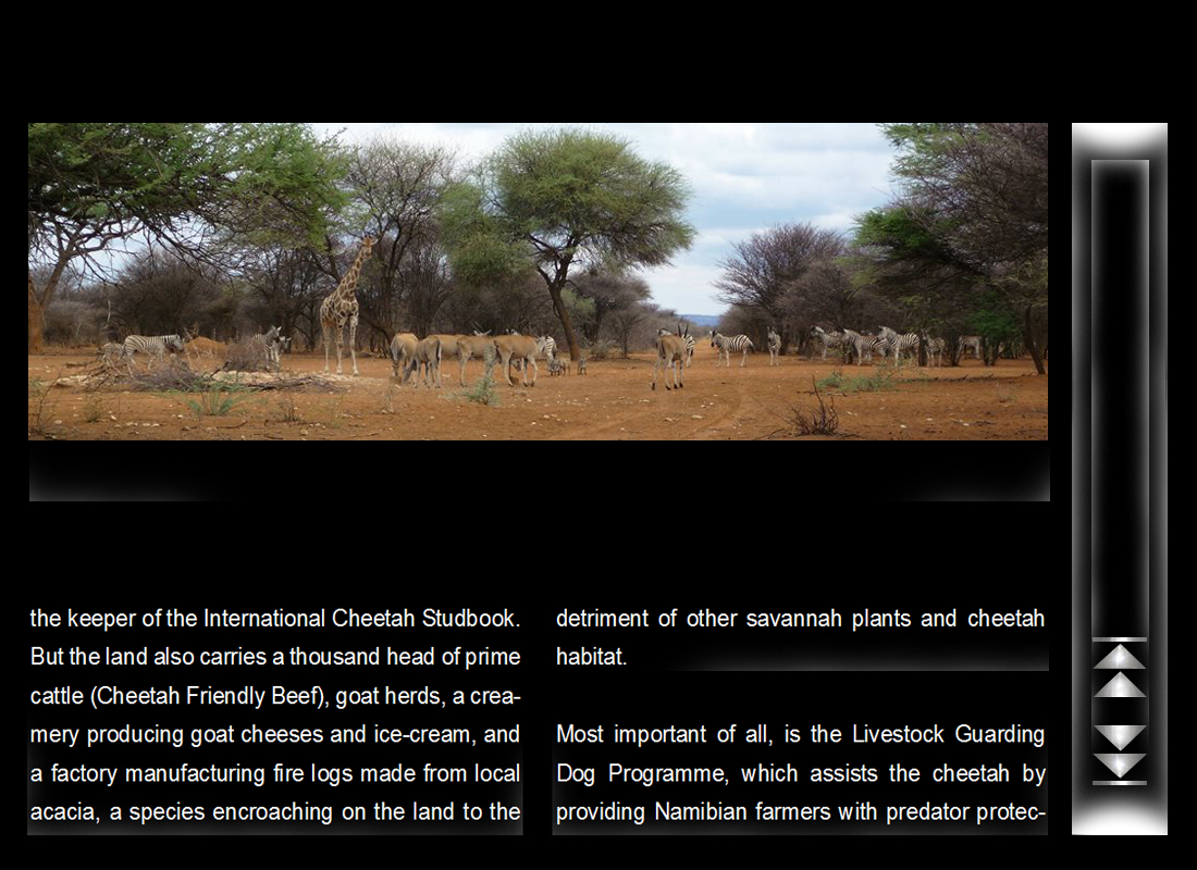 namibia_5.jpg