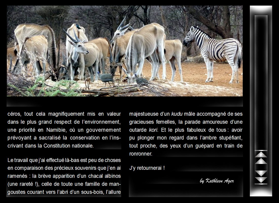 namibie_10.jpg
