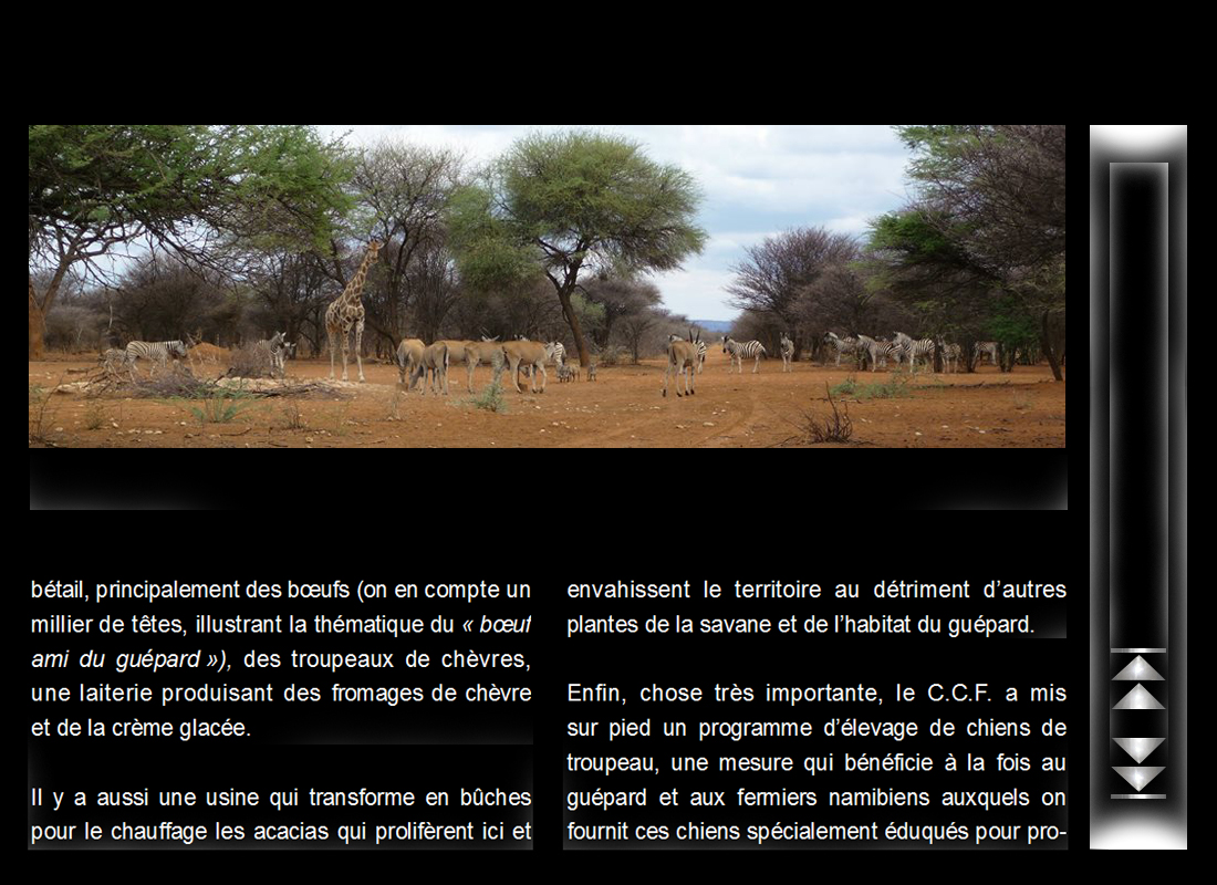 namibie_5.jpg