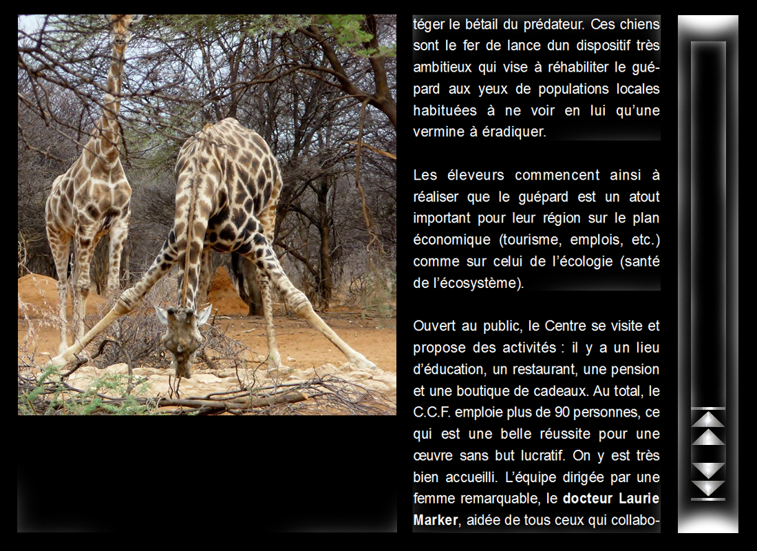 namibie_6.jpg