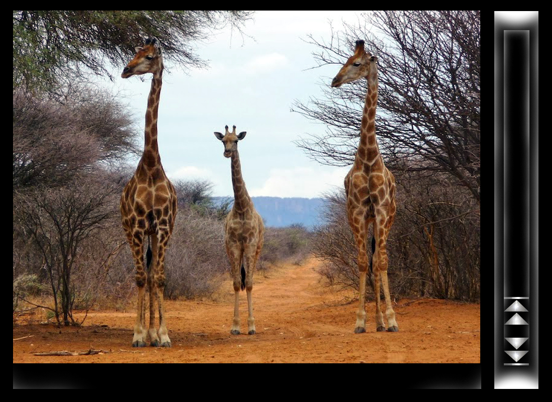 namibie_7.jpg