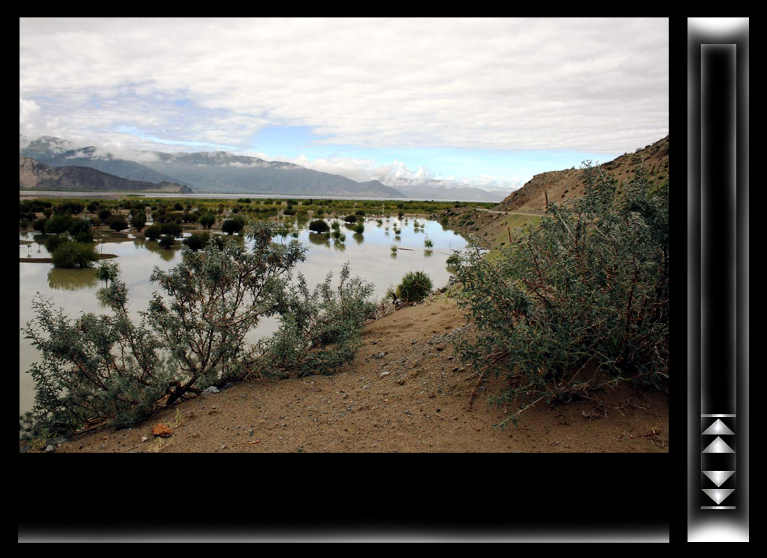 tibet_11.jpg